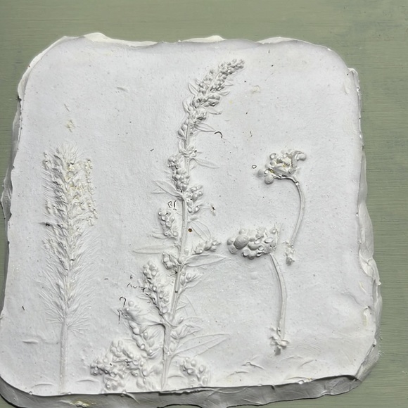 Handcrafted Plaster Relief Nature Casting - Picture 4 of 10